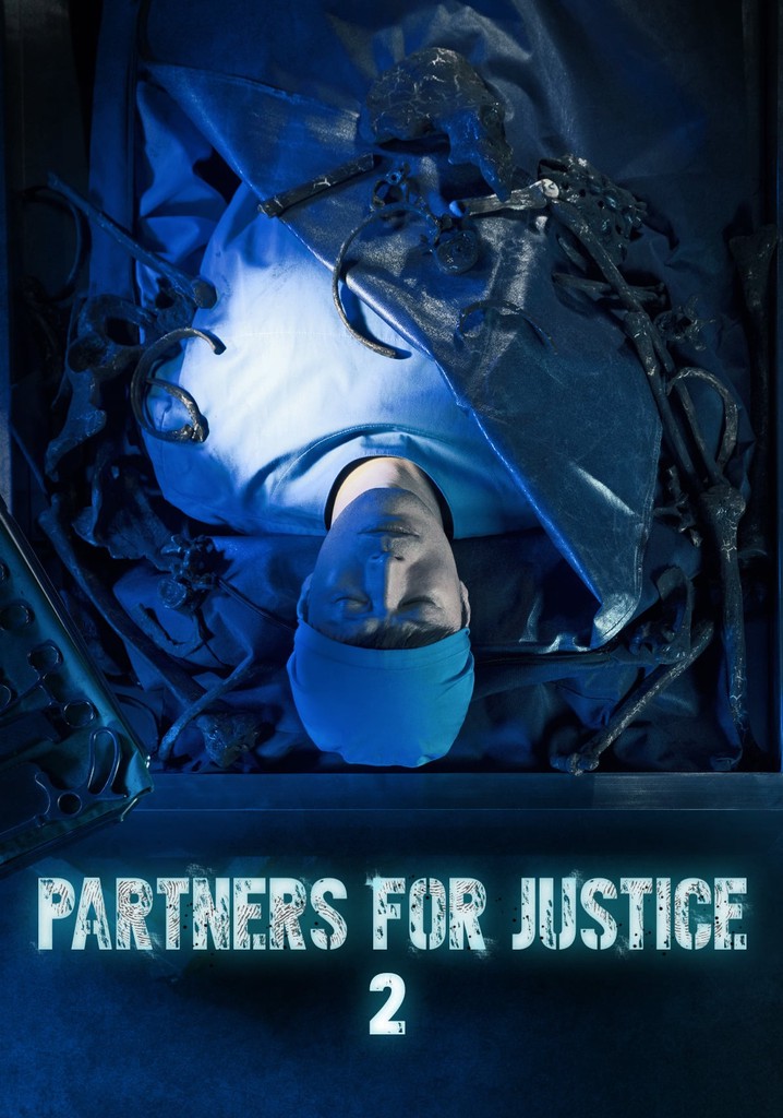 Partners for Justice Season 2 - watch episodes streaming online